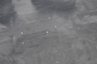 фото thumb №9, Hyundai ix35 дверь левый задняя задние 1k