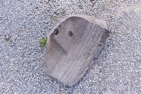 фото thumb №6, Подкрылок левый задняя dacia duster ii 767491219r