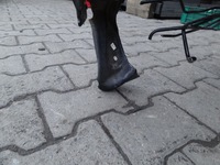 фото thumb №3, Citroen c-elysee 2017 лонжерон передня ліва оригінал