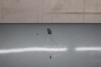 фото thumb №6, Капот крышка двигателя seat toledo iii 2004- ls5v