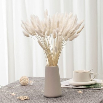 Одуванчик яйцевидный сушеный Lagurus Natural White