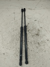 фото thumb №1, Opel insignia b амортизатори капот 39150008