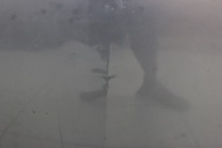 фото thumb №8, Honda jazz ii 01r- капот кришка двигуна b528m