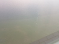 фото thumb №7, Kia sportage iii двері ліві перед передні 9s