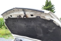 фото thumb №13, Opel vectra c капот кришка двигуна y474