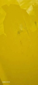 фото thumb №8, Капот кришка двигуна ford mustang vi 2015