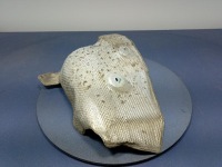 Bmw x5 g05 18- защита тепловая глушителя левая 7424937 с Разборки, фото thumb