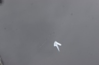 фото thumb №12, Gd audi a6 c7 avant ly9b кришка багажника