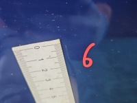 фото thumb №8, Двері перед ліва skoda fabia iii 5d granatowy lf5a