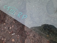 фото thumb №7, Citroen c5 ii iii стекло перед боковая правая клееная двойной