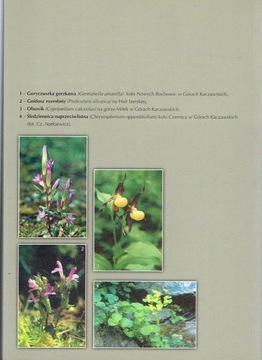 Природа Западных Судетов, Том 6, 2003 г.