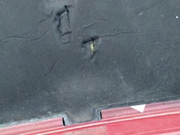 фото thumb №7, Капот ford mondeo mk4 07-11 +хром 5/5 біржа pń