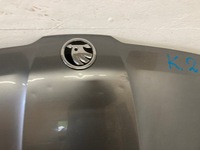 фото thumb №5, Skoda kodiaq капот orgi.