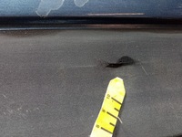 фото thumb №13, Mazda 6 iii gj kombi бампер задняя задний 42b