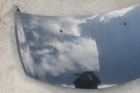 фото thumb №2, Капот renault clio 3