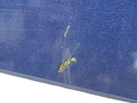 фото thumb №10, Капот крышка двигателя + шумоизоляция mitsubishi outlander ii 2 2006-2010 t65