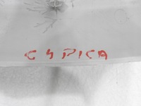 фото thumb №6, Корпус фонари кабины citroen c4 picasso i