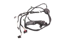 фото thumb №1, Seat cupra ateca жгут дверь правый задняя 575971161h