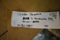 фото thumb №5, Idealna стекло перед передняя камера porsche panamera 971 1