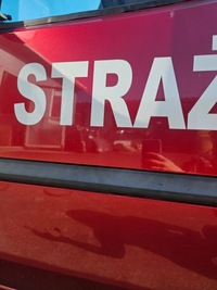 фото thumb №12, Fiat doblo дверь левый перед левая передние 124