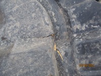 фото thumb №3, Lexus rx iv 15-20 защита плита бампер перед