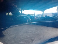 фото thumb №3, Skoda octavia iv 4 sedan 19- двері зад задні праві