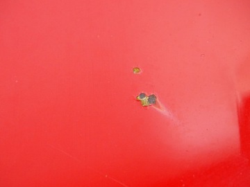 фото thumb №8, Капот кришка двигуна audi a3 8p рестайлінг ly3j 08-12r