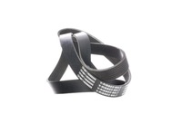 фото thumb №12, Ridex 305p0319 ремінь клиновий багатореберний do opel frontera a suv u92