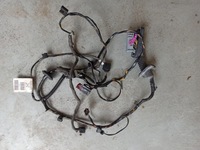 фото thumb №1, Opel insignia a джгут двері правий перед 13264928