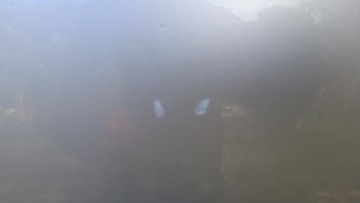 фото thumb №10, Opel astra g універсал двері зад правий