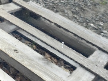 фото thumb №4, Dodge charger 2018 двері ліві зад px8 комплектні