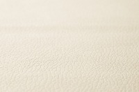 фото thumb №2, Мат na панель приборная scania r streamline tir