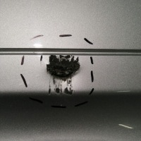 фото thumb №9, Бампер задняя задний bmw 5 e60 03-07 przedlift