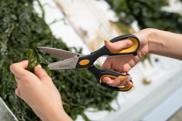 Ножницы кухонные Deiss PRO для дома Sharp универсальные