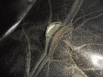 фото thumb №9, Сидіння перед bmw e39 3.0 99' універсал 164km дорестайлінг