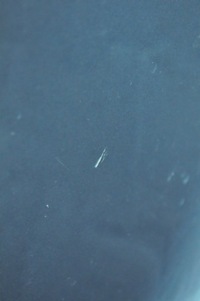 фото thumb №8, Peugeot 307 бампер перед передний