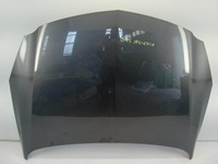 фото thumb №1, Капот крышка двигателя opel insignia a 08-13