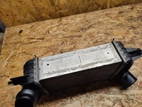 фото thumb №8, Інтеркулер juke pulsar 1.6 dig-t 14461 bv80a