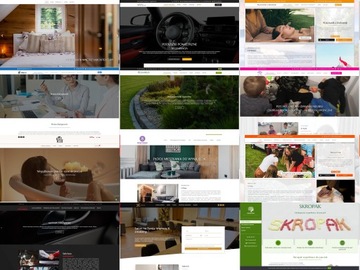 STRONA INTERNETOWA WWW ONEPAGE | RESPONSYWNA | DOMENA, HOSTING, SSL, CMS