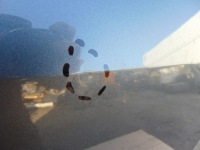 фото thumb №7, Двері правий задня vw tiguan 5na 5na833124a