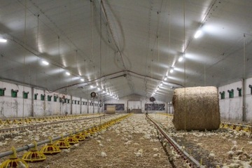 Синие изоляционные панели STYRODUR XPS AGRO 120 мм