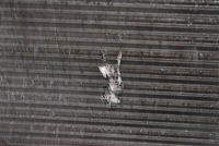 фото thumb №5, Радиатор wody 879560000 ford ka mk2 1.2 8v 12r