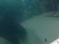 Капот ford fiesta iv рестайлинг  29 2001r. Недорого, фото thumb