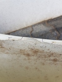 фото thumb №6, Крыло перед левый tesla s