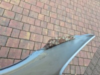 Крыло  правый  перед mercedes slk r171 Недорого, фото thumb