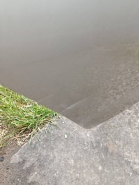 фото thumb №13, Двері задня задні праве toyota corolla e21 sedan колір 587