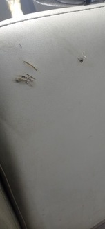 фото thumb №13, Vivaro trafic primastar 01-14 сиденье зад лавка 2 ряд