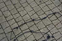 фото thumb №5, Джгут pdc парктронік volkswagen оригінальний номер 3g5971104e