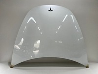 фото thumb №1, Капот tesla 3 ładna