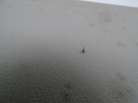 фото thumb №6, Land rover freelander i 96-06 потолок 3d